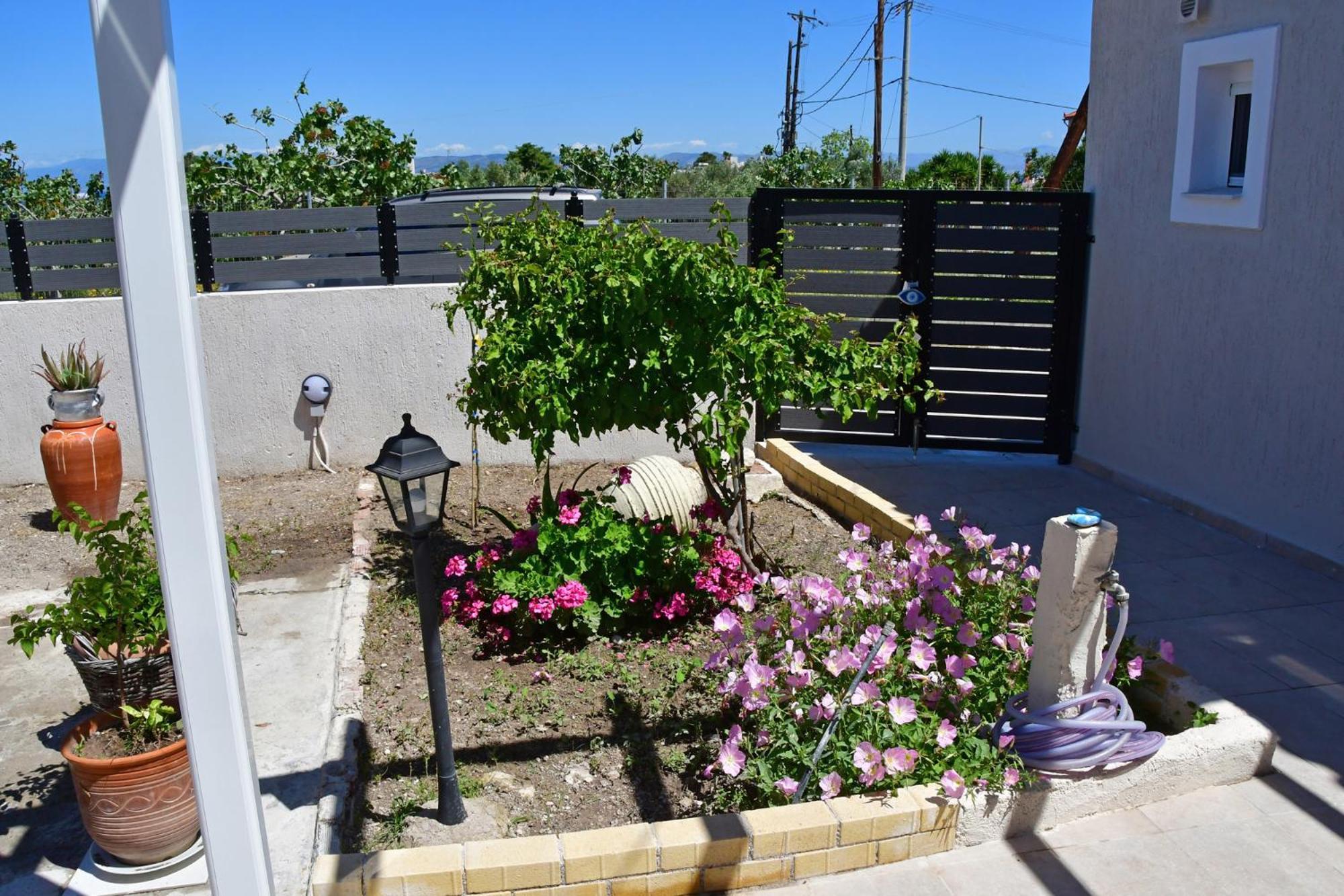 Da Vinci Kavouropetra Villa Aegina Екстериор снимка