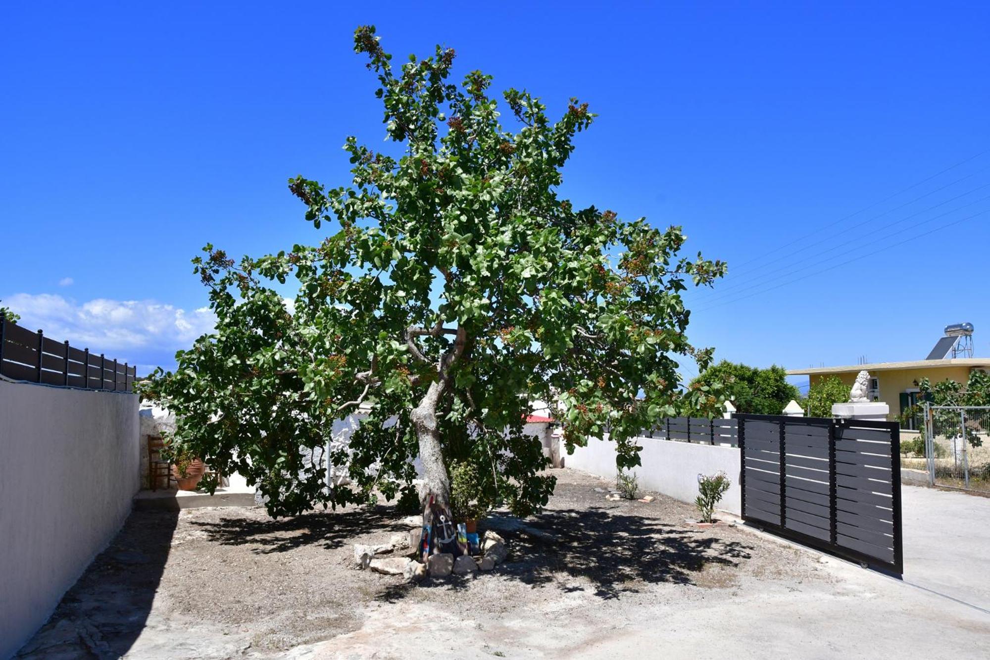 Da Vinci Kavouropetra Villa Aegina Екстериор снимка