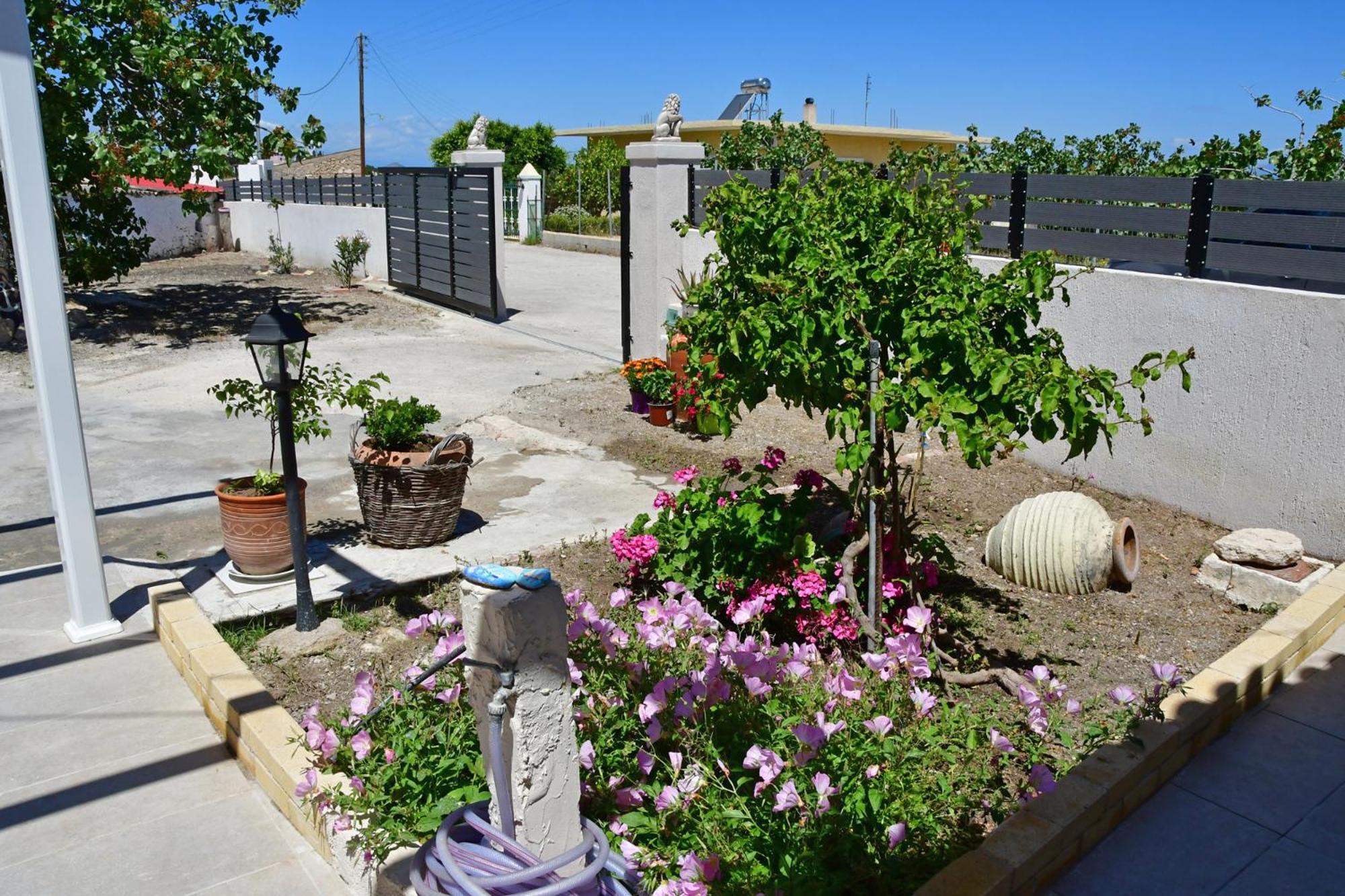 Da Vinci Kavouropetra Villa Aegina Екстериор снимка